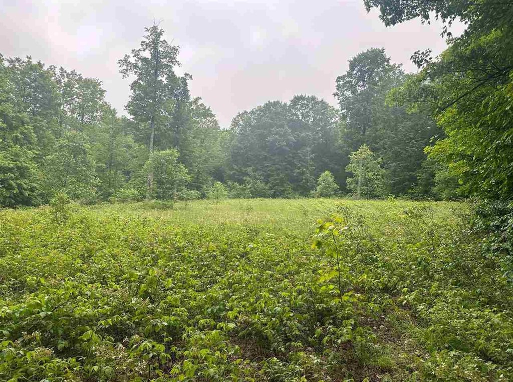 Picture 7