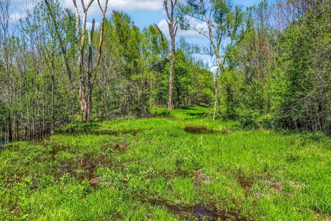 Recreational Hunting Tract with Creek