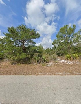 LAND - Lake Placid, FL