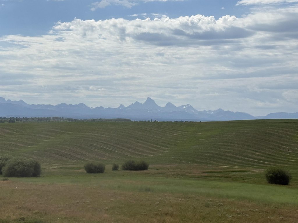 Picture 17