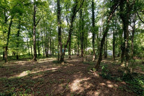 Land, Rossville, GA