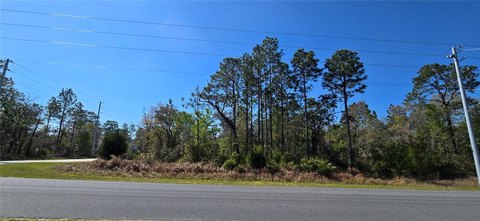 Land, WEEKI WACHEE, FL