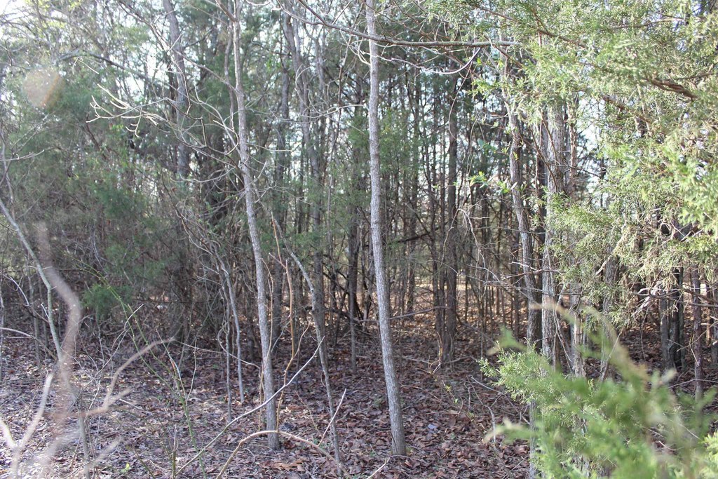 Picture 3