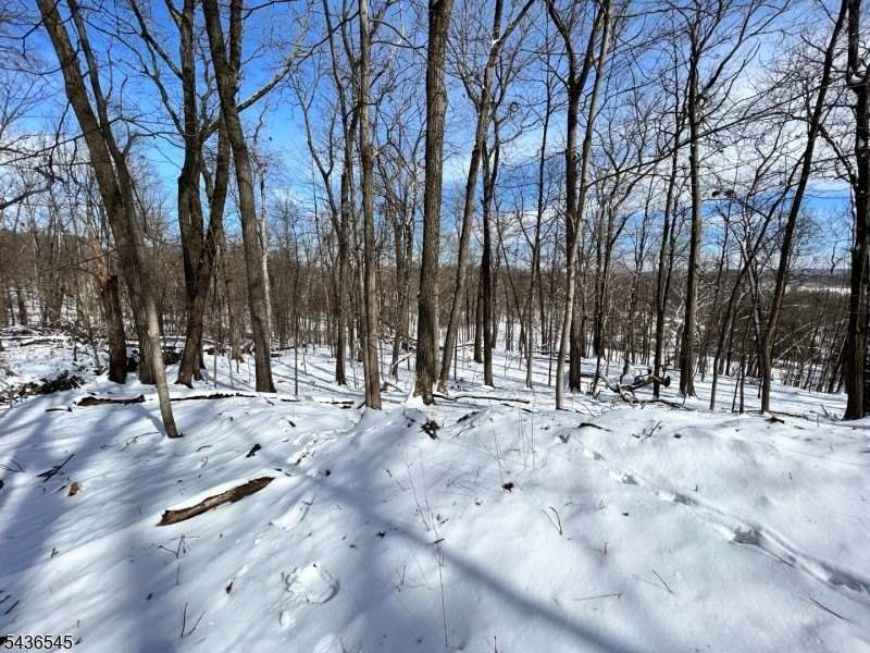 Picture 8