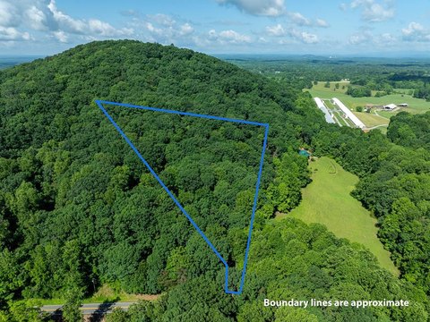 Dahlonega Wooded Lot with Privacy