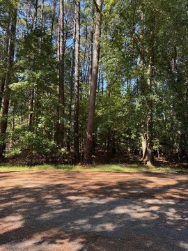 Land, GREENBACKVILLE, VA