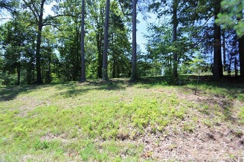Land, Benton, KY