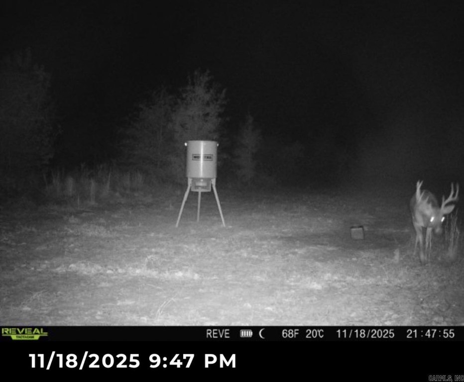 Picture 39