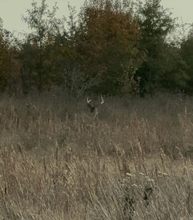 Picture 38