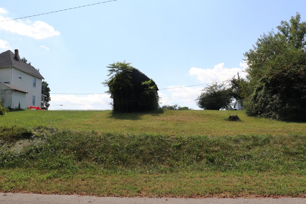 Picture 6