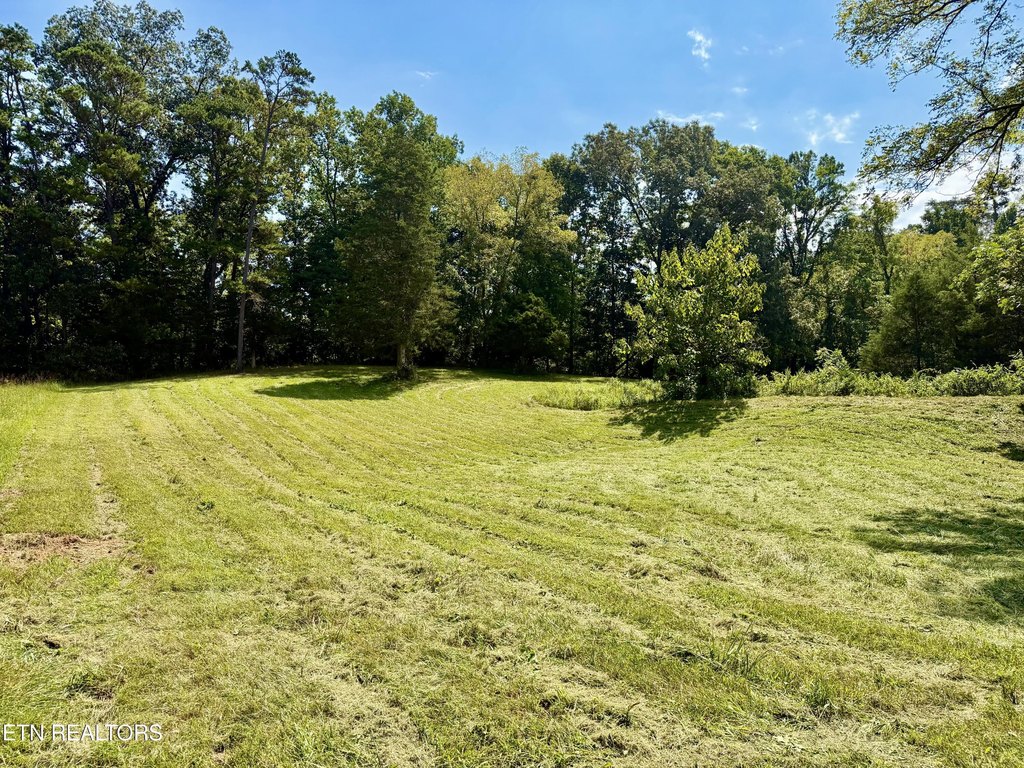 Picture 16