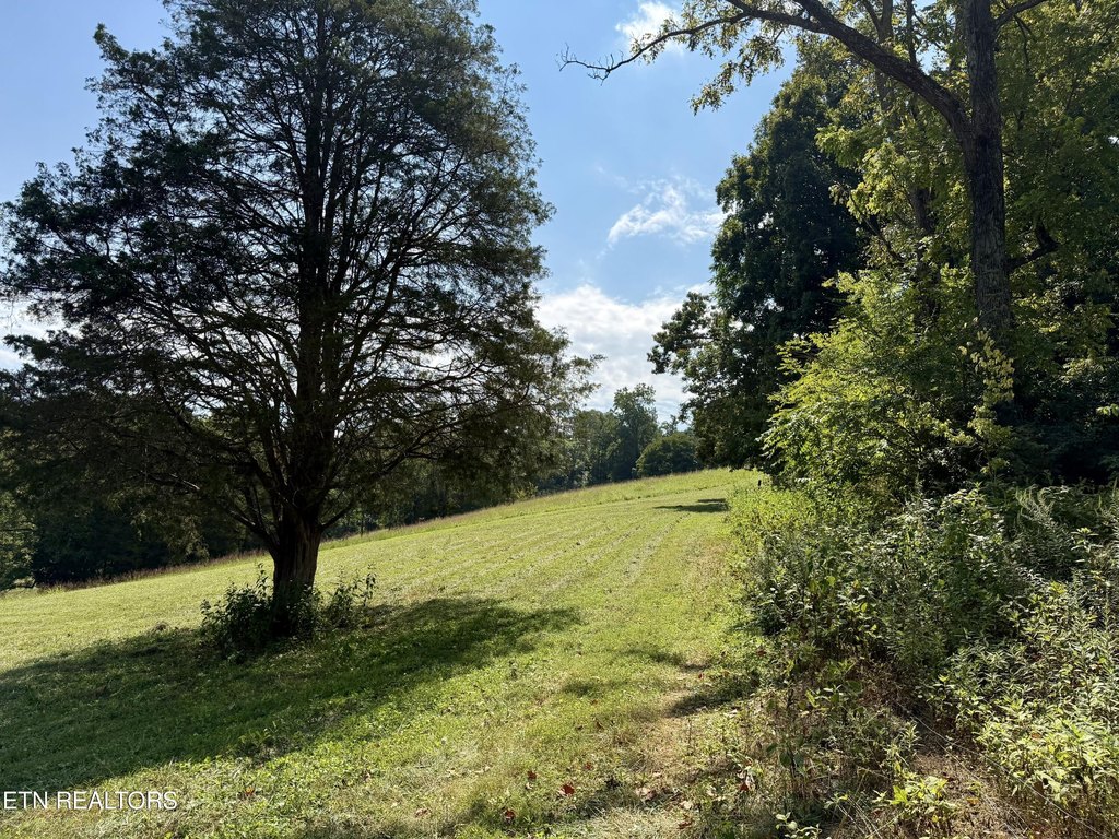 Picture 22