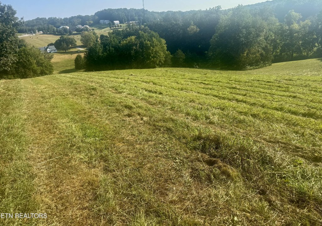 Picture 30