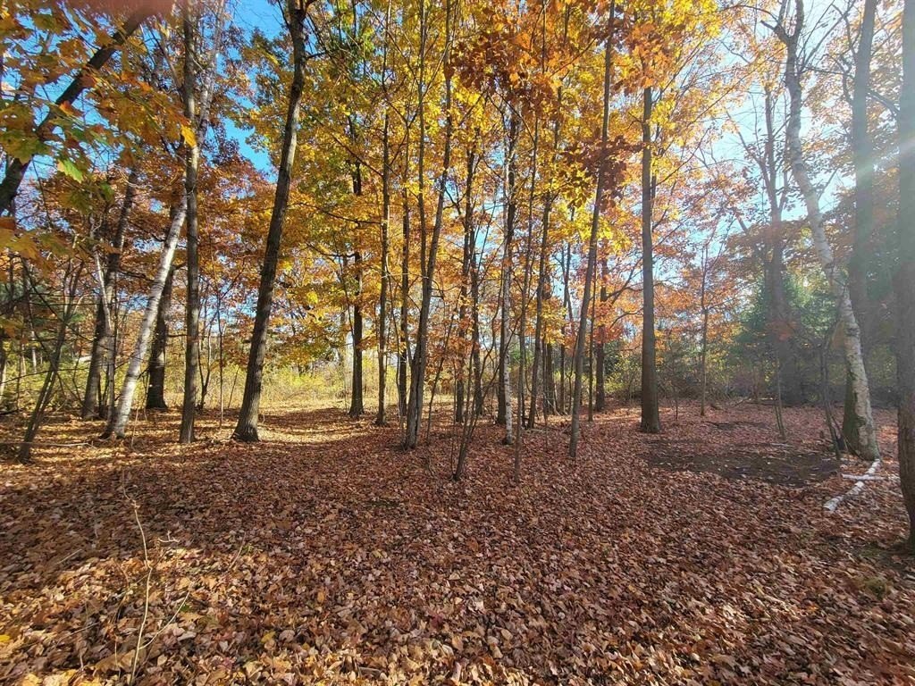 Picture 19