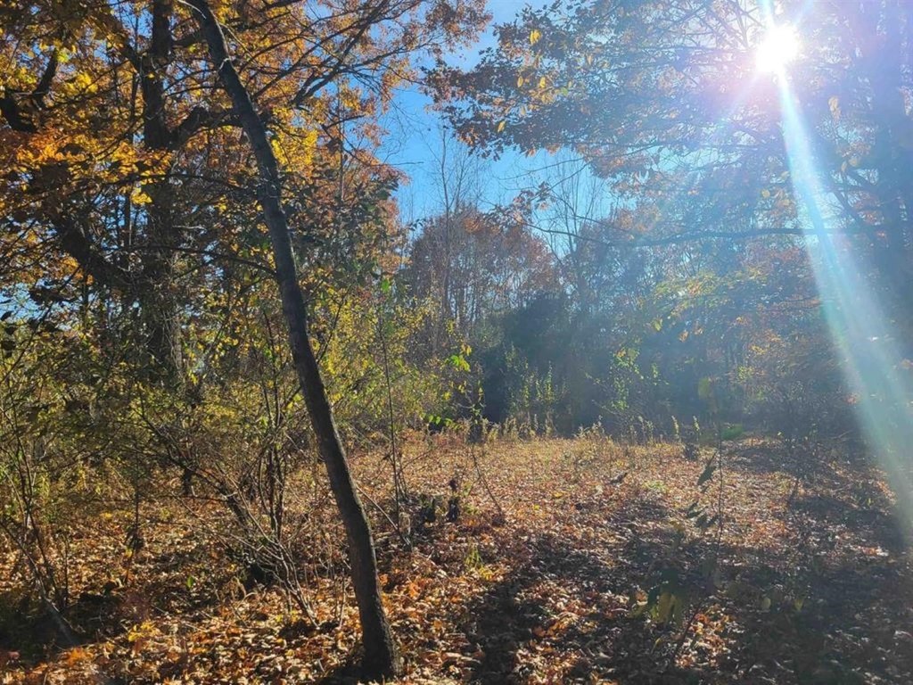 Picture 18