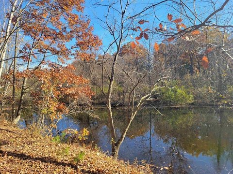 Waterfront Peninsula Residential Land