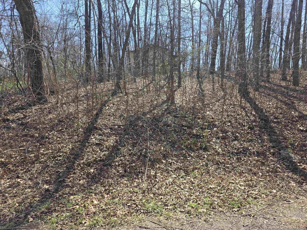 Picture 2