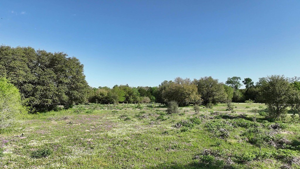 Picture 11