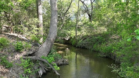 Ranch and Hunting Land