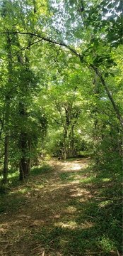 Wooded Land in Gladstone, Missouri