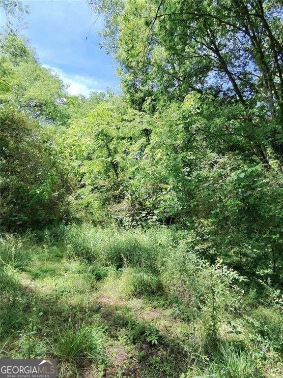 Picture 19