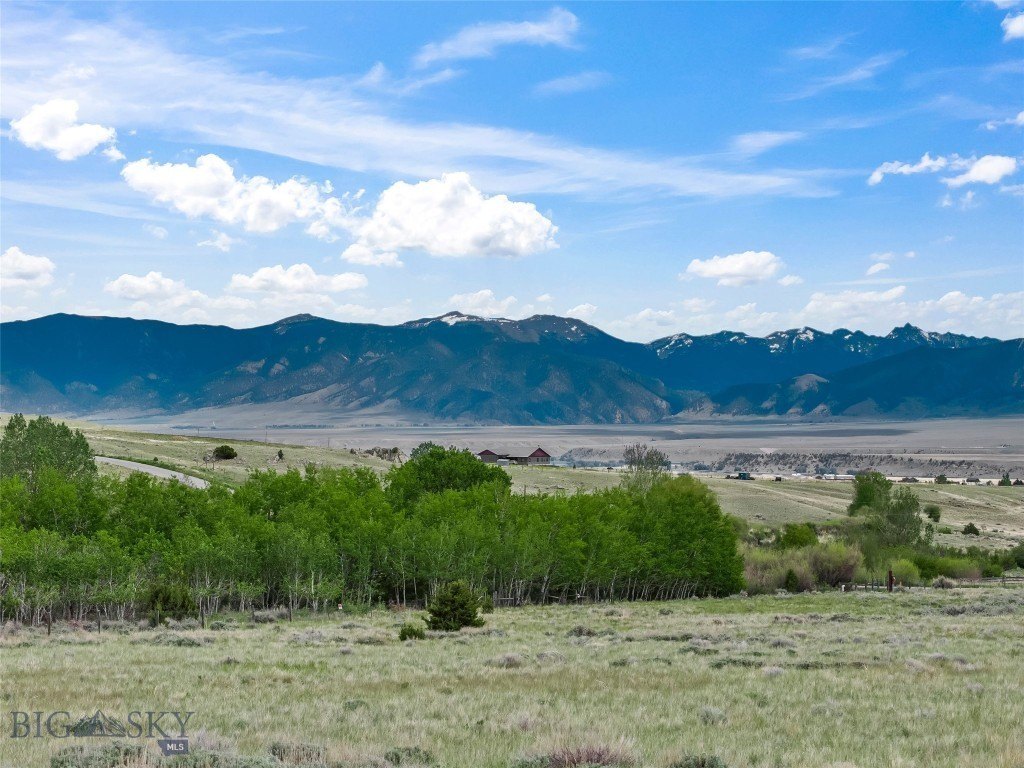 Picture 25