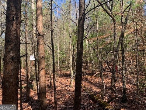 LAND - Ellijay, GA