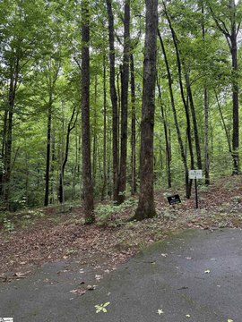 LAND - Travelers Rest, SC