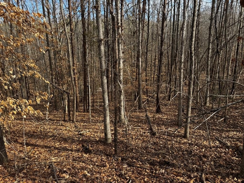 Picture 19