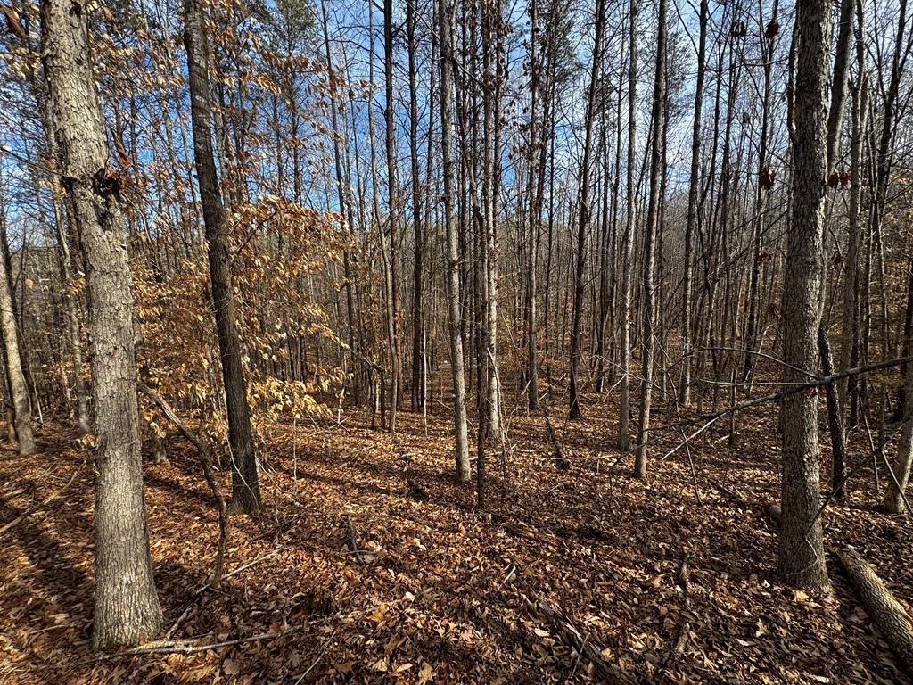 Picture 17
