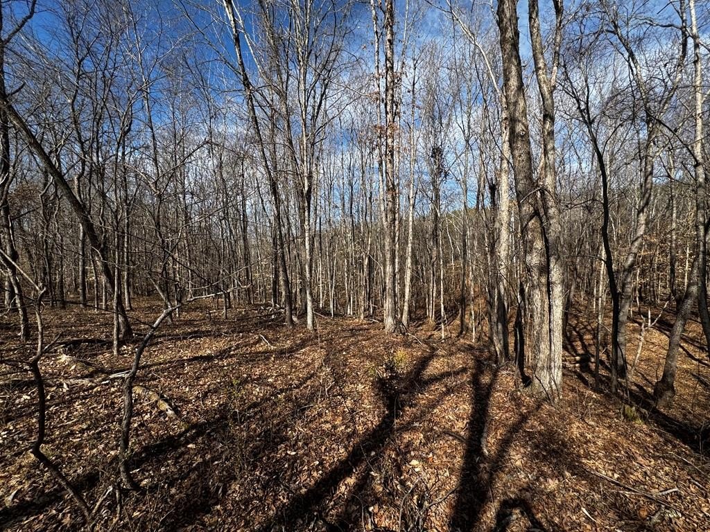 Picture 16