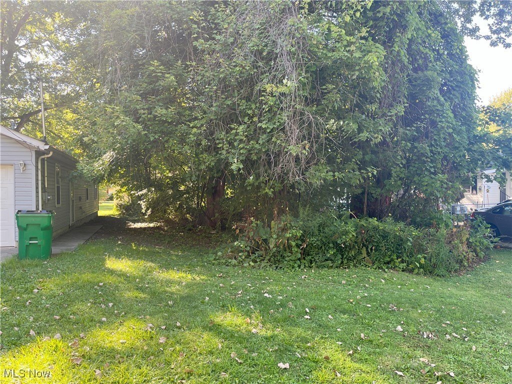 Painesville Twp Buildable Lot