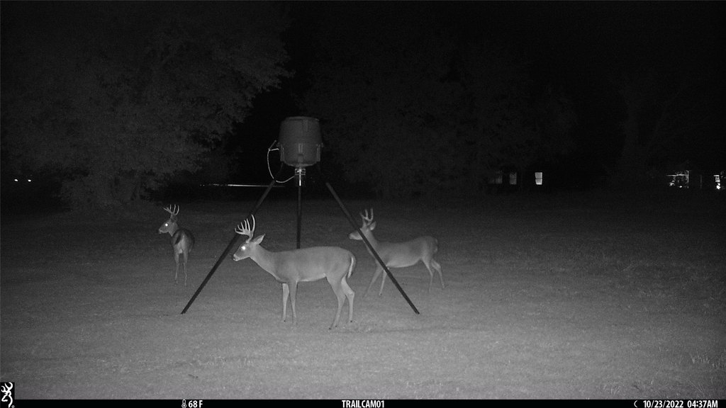 Picture 5