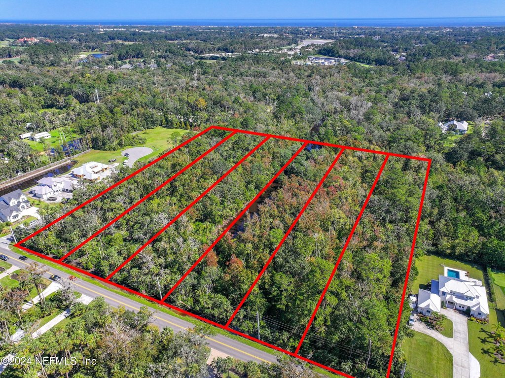 Picture 8