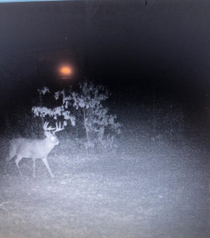 Picture 42
