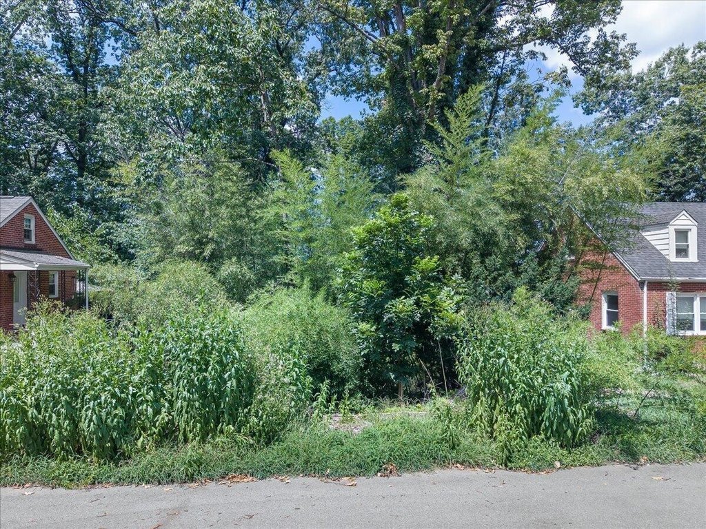 Picture 3