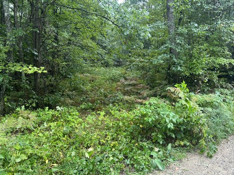 Land, Houghton Lake, MI