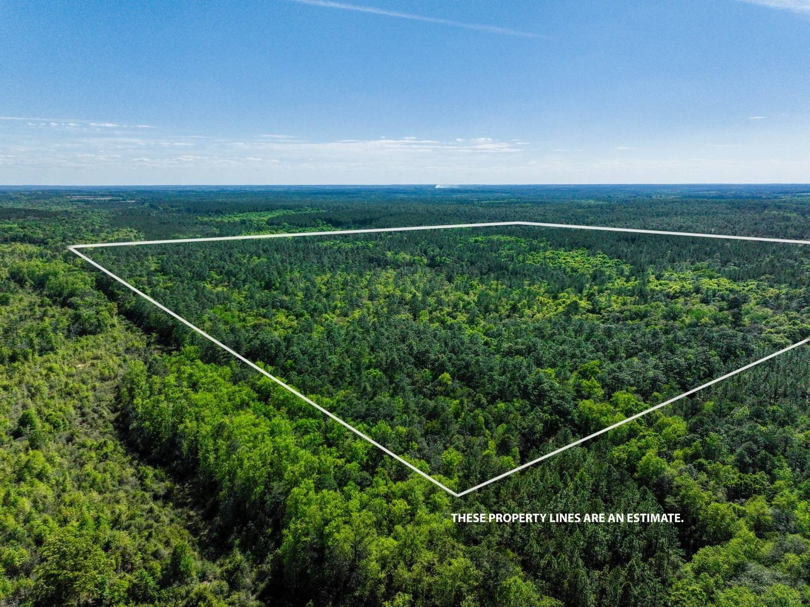 Versatile Recreational Tract with Flat Creek
