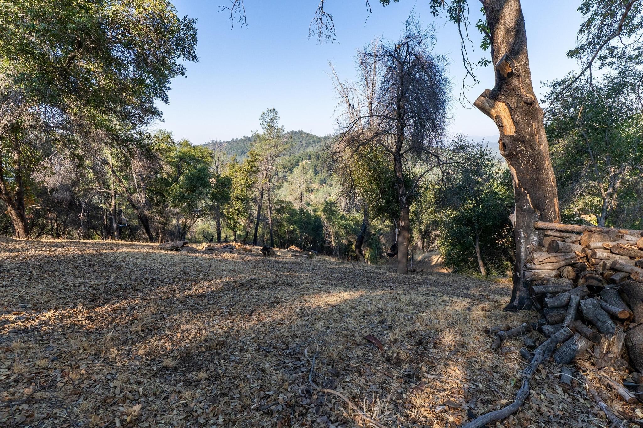 Land with Open Views