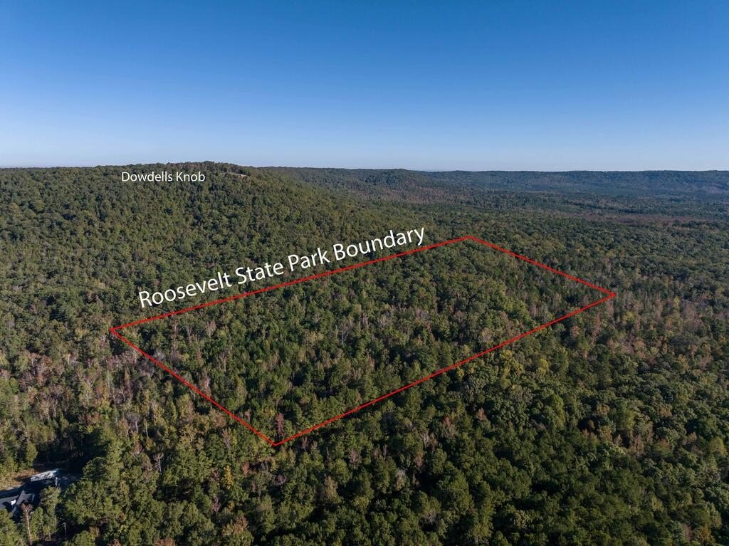 Tract 1 Trammell Ml Rd, Shiloh, GA 31826