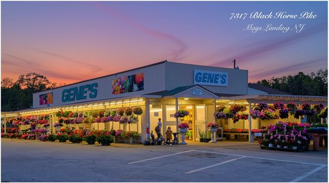 Mays Landing Commercial Opportunity