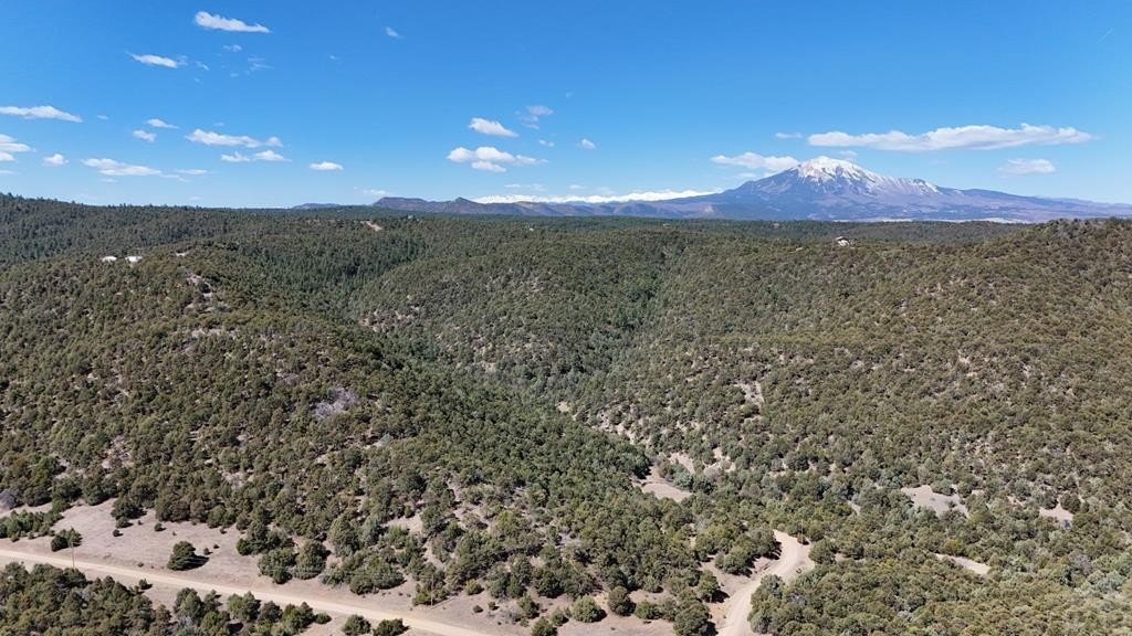Land in Southern Colorado's High Country