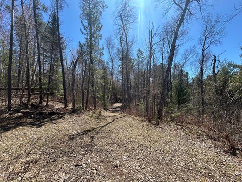 80 Acres Wooded Hunting Land