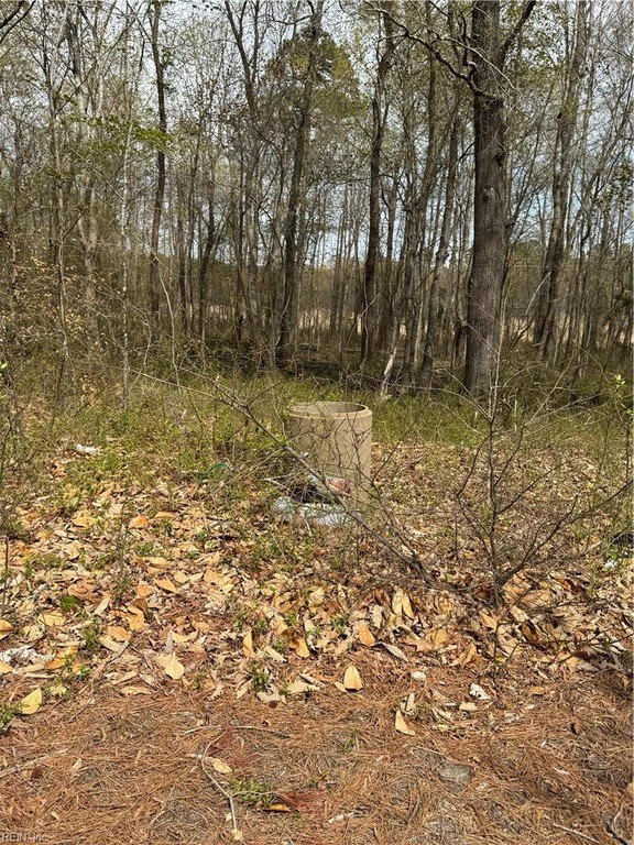 Picture 36