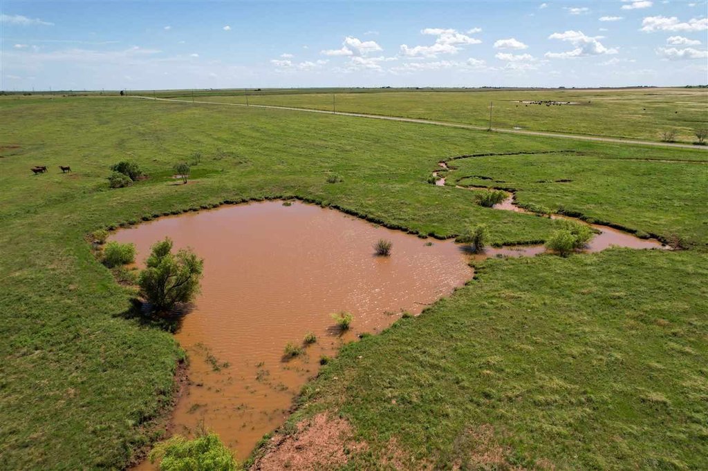 Picture 15