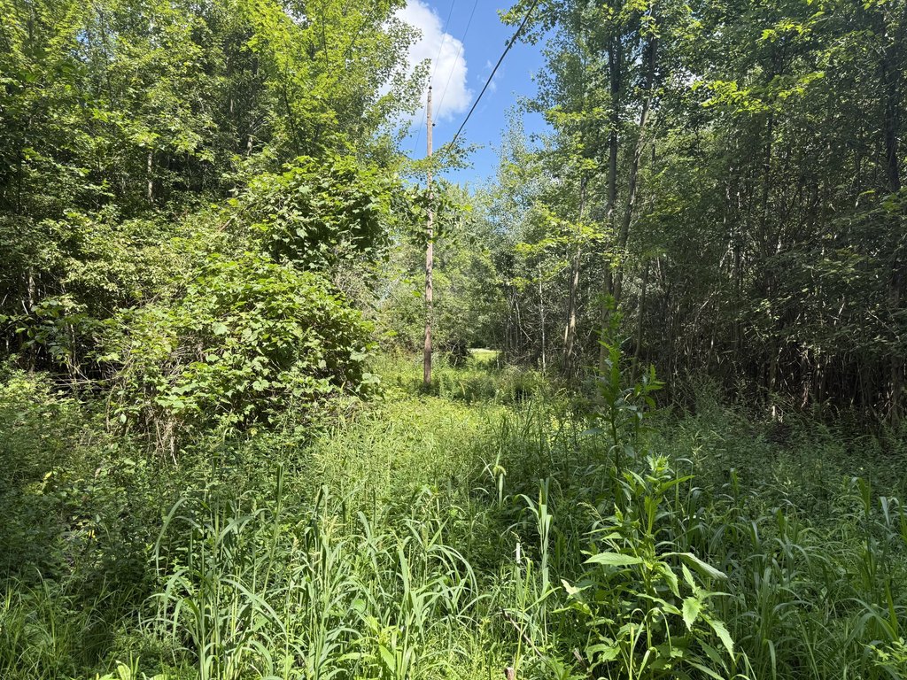 Picture 20