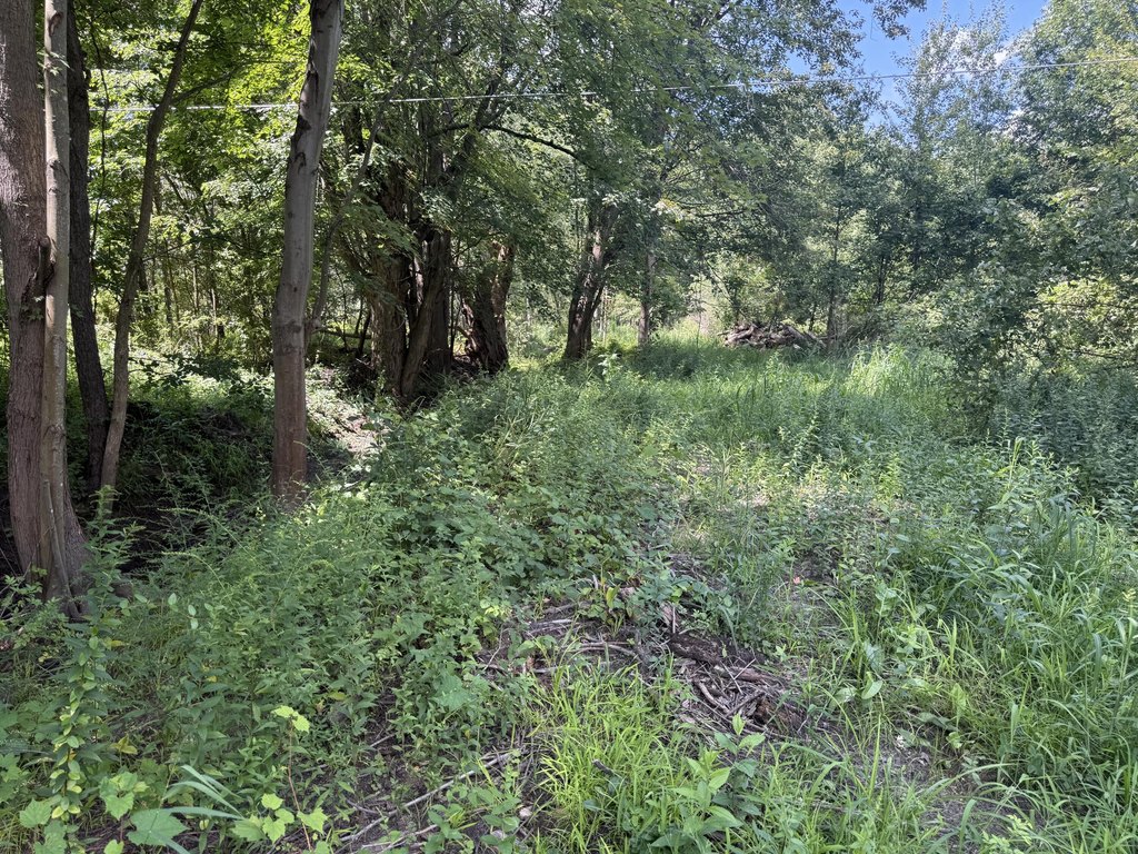 Picture 17