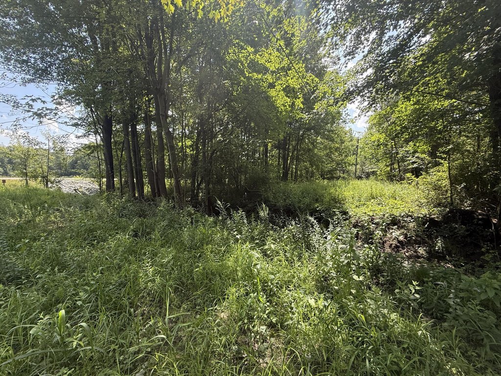 Picture 19