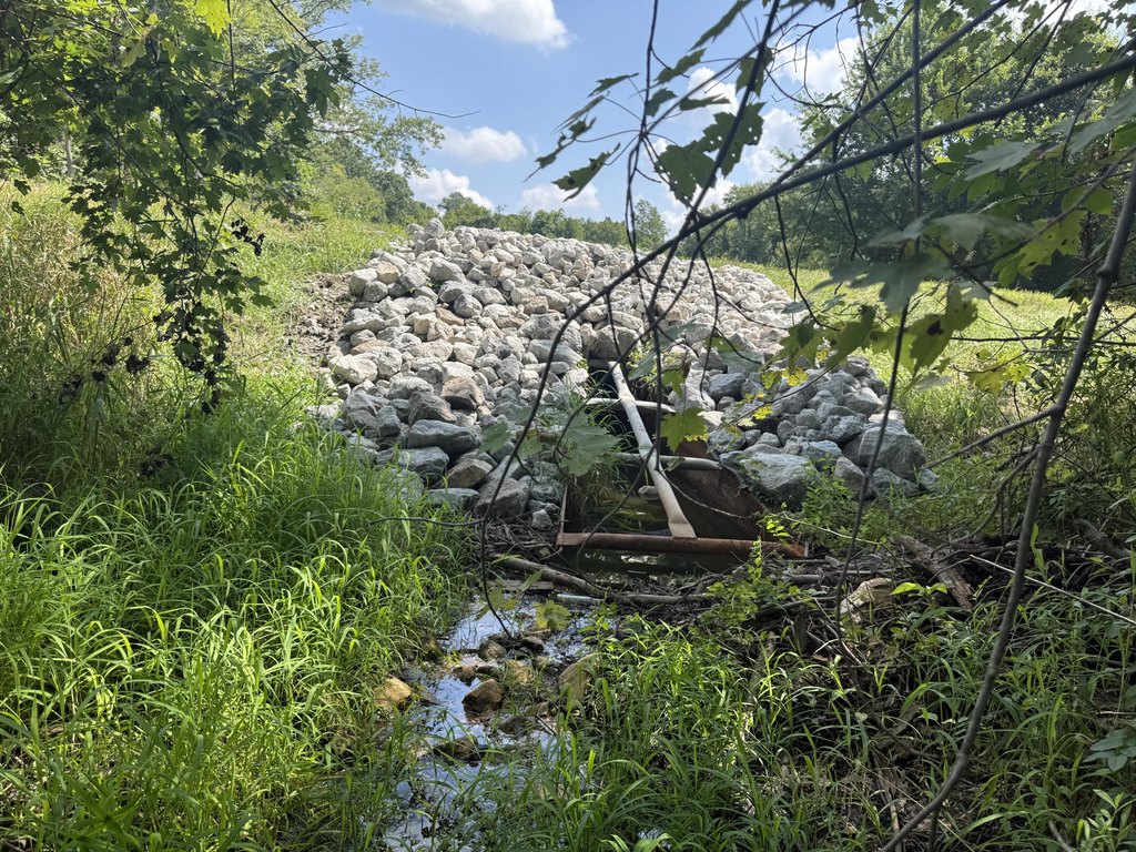 Picture 16