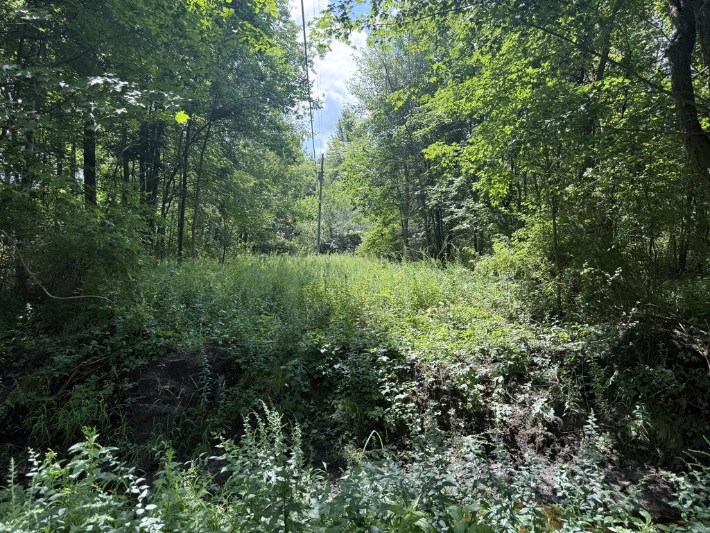 Picture 18